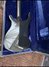 Nov 1980 Rickenbacker 4001/4 S, Jetglo: Body - Rear