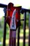 Rickenbacker 4003/4 , Fireglo: Headstock