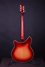 Rickenbacker 365/6 , Fireglo: Full Instrument - Rear