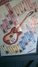 Rickenbacker 330/6 , Fireglo: Full Instrument - Front