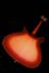 Rickenbacker 350/6 V63, Fireglo: Body - Rear