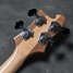 Rickenbacker 4003/4 , Mapleglo: Headstock - Rear