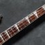Rickenbacker 4003/4 , Mapleglo: Neck - Front