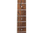 Rickenbacker 330/6 , Fireglo: Free image