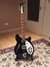 Rickenbacker 360/12 , Jetglo: Full Instrument - Front