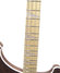 Rickenbacker 4003/4 , Natural Walnut: Neck - Front