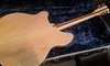 Rickenbacker 370/12 VP, Mapleglo: Full Instrument - Rear