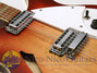 Rickenbacker 360/12 V63, Fireglo: Close up - Free