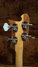 Rickenbacker 4003/4 , Mapleglo: Headstock - Rear