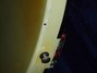 Rickenbacker 4001/4 Mod, White: Free image