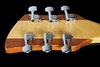 Rickenbacker 650/6 Dakota, Walnut: Headstock - Rear