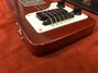 Rickenbacker 100/6 Electro, Walnut: Free image