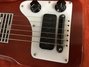 Rickenbacker 100/6 Electro, Walnut: Body - Front