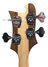 Rickenbacker 4003/4 , Mapleglo: Headstock - Rear