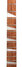 Rickenbacker 360/6 , Mapleglo: Neck - Front