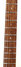 Rickenbacker 330/6 , Fireglo: Neck - Front