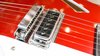 Rickenbacker 360/6 , Ruby: Free image