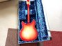 Rickenbacker 360/12 C64, Fireglo: Full Instrument - Rear