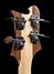 Rickenbacker 4003/4 , Mapleglo: Headstock - Rear