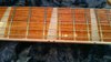 Rickenbacker 381/6 V69, Mapleglo: Neck - Front