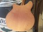 Dec 1995 Rickenbacker 360/6 , Mapleglo: Body - Rear