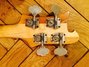 Rickenbacker 1999/4 RoMo, Fireglo: Headstock - Rear