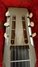 Rickenbacker 100/6 LapSteel, Gray: Headstock