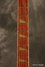 Rickenbacker 370/6 VP, Amber Fireglo: Neck - Front