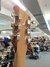 Rickenbacker 660/6 , Mapleglo: Headstock - Rear