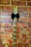 Rickenbacker 365/6 O.S., Natural: Neck - Front