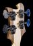 Rickenbacker 4003/4 , Natural Walnut: Headstock - Rear