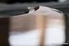 May 1998 Rickenbacker 381/6 V69, Mapleglo: Body - Rear
