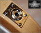 Rickenbacker 330/6 , Mapleglo: Close up - Free