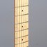 Rickenbacker 650/6 Colorado, Fireglo: Neck - Front