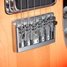 Rickenbacker 650/6 Colorado, Fireglo: Close up - Free