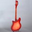 Rickenbacker 360/12 , Fireglo: Full Instrument - Rear