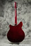 Rickenbacker 360/6 , Burgundy: Full Instrument - Rear