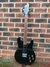 Rickenbacker 230/6 , Jetglo: Full Instrument - Front