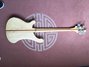 Rickenbacker 4001/4 , Mapleglo: Full Instrument - Rear