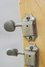 Rickenbacker 430/6 , Brown: Close up - Free2
