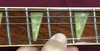 Rickenbacker 481/6 Slant Fret, White: Close up - Free