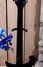 Rickenbacker 620/6 , Jetglo: Neck - Rear