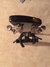 Rickenbacker 325/6 JL, Jetglo: Headstock - Rear
