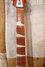 Rickenbacker 360/12 Conversion, Fireglo: Neck - Front
