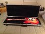 Rickenbacker 1993/12 Plus, Fireglo: Free image