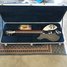 Rickenbacker 360/6 , Jetglo: Free image