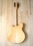 Rickenbacker 360/12 BH BT, Mapleglo: Full Instrument - Rear