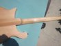 Rickenbacker 620/12 , Mapleglo: Neck - Rear