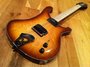 Rickenbacker 481/12 One Off, Walnut: Free image