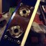 Rickenbacker 360/12 , Midnightblue: Close up - Free